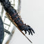 Assassin´s Creed Statue 1/4 Animus Jacob & Evie Frye 62 cm