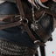 The Witcher 3: Wild Hunt Statue 1/6 Diorama Geralt vs Eredin 50 cm
