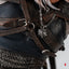 The Witcher 3: Wild Hunt Statue 1/6 Diorama Geralt vs Eredin 50 cm