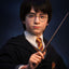 Harry Potter Bust 1/1 Harry 76 cm