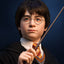 Harry Potter Bust 1/1 Harry 76 cm