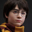 Harry Potter Bust 1/1 Harry 76 cm