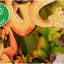 Disney Tiny Adventures Book Nook Mini Diorama The Jungle Book 23 cm