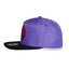 Naruto Shippuden Snapback Cap Sasuke Color