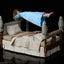 The Exorcist Action Figure 1/6 Regan MacNeil (Deluxe Edition) 23 cm