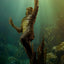 Universal Monsters Premium Format Figure Creature from the Black Lagoon 80 cm