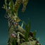 Universal Monsters Premium Format Figure Creature from the Black Lagoon 80 cm
