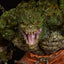 DC Comics Premium Format Figure Killer Croc 57 cm