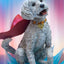 Superman (2025) Premium Format Statue Krypto 23 cm