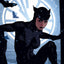 DC Comics Art Print Catwoman 41 x 61 cm - unframed