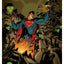 DC Comics Art Print Superman Space Age 61 x 41 cm - unframed