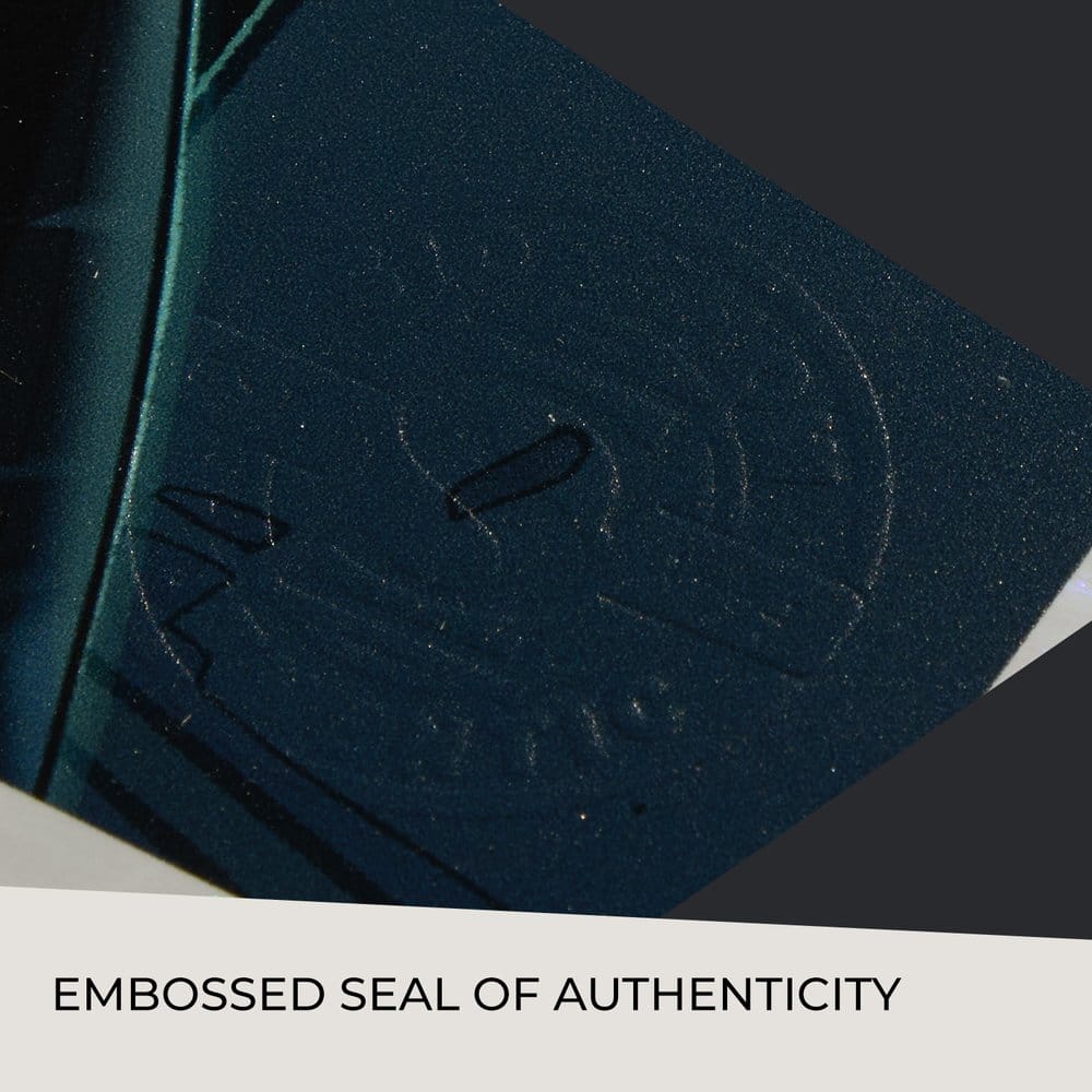 DC Comics Art Print Catwoman: Nine Lives 61 x 41 cm - unframed