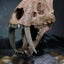 Wonders of the Wild Series Statue Smilodon Skull Fossil 22 cm