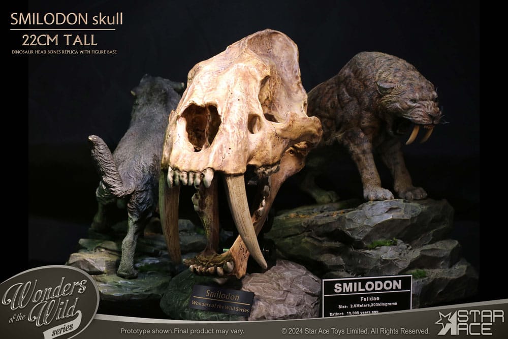 Wonders of the Wild Series Statue Smilodon Skull Fossil 22 cm