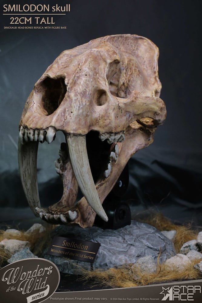 Wonders of the Wild Series Statue Smilodon Skull Fossil 22 cm