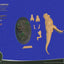 Wonders of the Wild Resin Model Kit T-Rex 37 cm