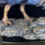 Wonders of the Wild  Statue Oviraptor 32 cm