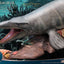 Wonders of the Wild Statue Mosasaurus (DX) 42 cm