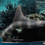 Wonders of the Wild Statue Mosasaurus (DX) 42 cm