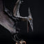 Ray Harryhausen Diorama 1/8 Pteranodon 22 cm