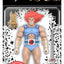 ThunderCats Deluxe Wave 01 Action Figure Lion-O 18 cm