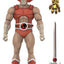 Thundercats DELUXE Action Figure Wave 04 Lion-O (Mirror)