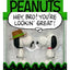 Peanuts ReAction Action Figures 2-Pack Snoopy & Spike 10 cm