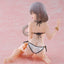 Uzaki-chan Wants to Hang Out! PVC Statue Desktop Cute Figure Tsuki Uzaki (Swimwear Ver.) 13 cm           - Damaged packaging