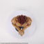 Baki the Grappler 28Fig PVC Figure Yujiro Hanma (Imaginary Meal Ver.) 28 cm
