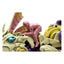 Monster Hunter Zoids Plastic Model Kit 1/35 Gatling Fox Mizutsune 36 cm