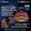 Zoids Plastic Model 1/100 RMZ-026 Gustav Moonbey Special 16 cm