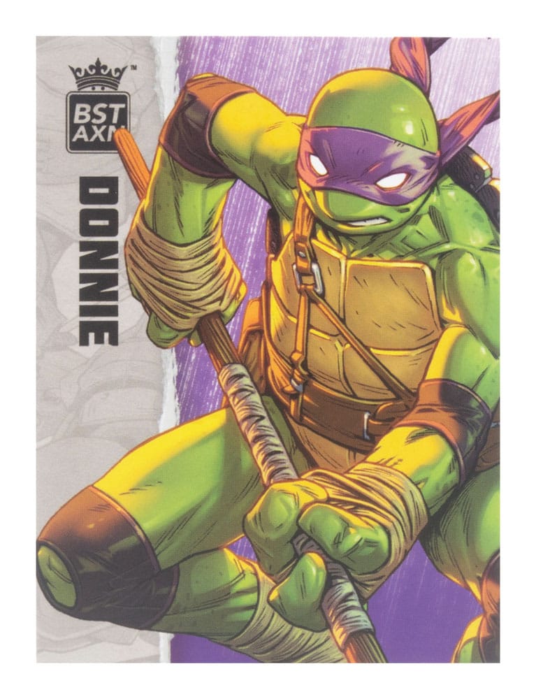 Teenage Mutant Ninja Turtles BST AXN Action Figure Donatello (IDW Comics) 13 cm