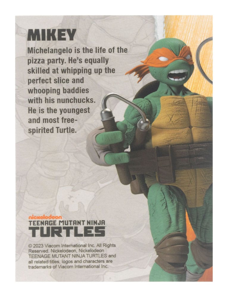 Teenage Mutant Ninja Turtles BST AXN Action Figure Michelangelo (IDW Comics) 13 cm