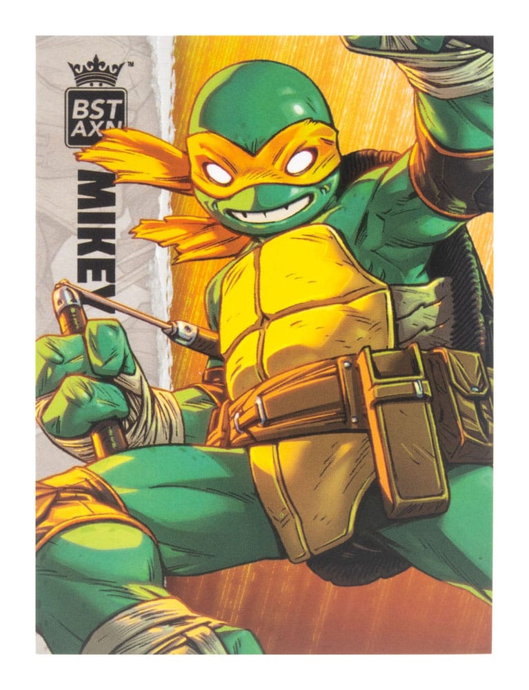 Teenage Mutant Ninja Turtles BST AXN Action Figure Michelangelo (IDW Comics) 13 cm