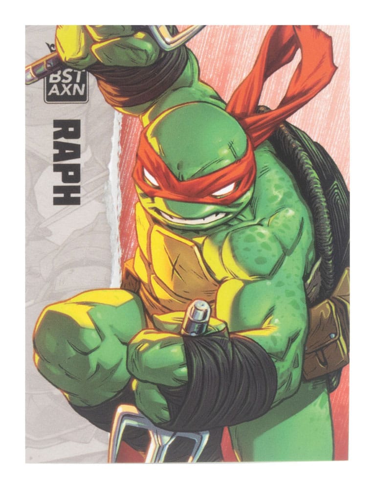 Teenage Mutant Ninja Turtles BST AXN Action Figure Raphael (IDW Comics) 13 cm