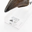Jurassic Park Statue T-Rex Hand Claw 13 cm