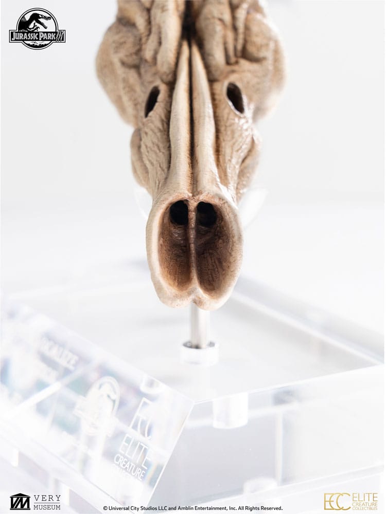 Jurassic Park III Prop Replica 1/1 Velociraptor Resonance Chamber 18 cm