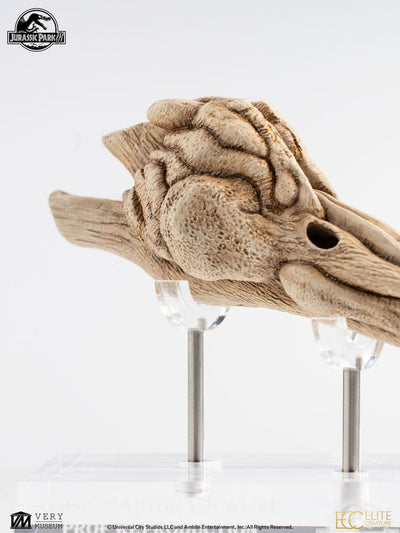 Jurassic Park III Prop Replica 1/1 Velociraptor Resonance Chamber 18 cm