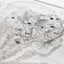 Jurassic Park Topographic Map Isla Nublar