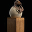 Jurassic Park III ECC Elite Creature Line Statue Hatching Pterosaur 16 cm