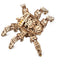 Ugears 3D Wooden Puzzle Hexapod Explorer