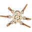 Ugears 3D Wooden Puzzle Hexapod Explorer