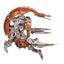 Star Wars 3D Wooden Puzzle Droideka