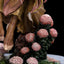 The Dark Crystal Statue 1/6 Kira the Gelfling 25 cm