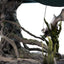 The Lord of the Rings Statue 1/6 Sméagol & Déagol: A Shadow of the Past Limited Edition 34 cm