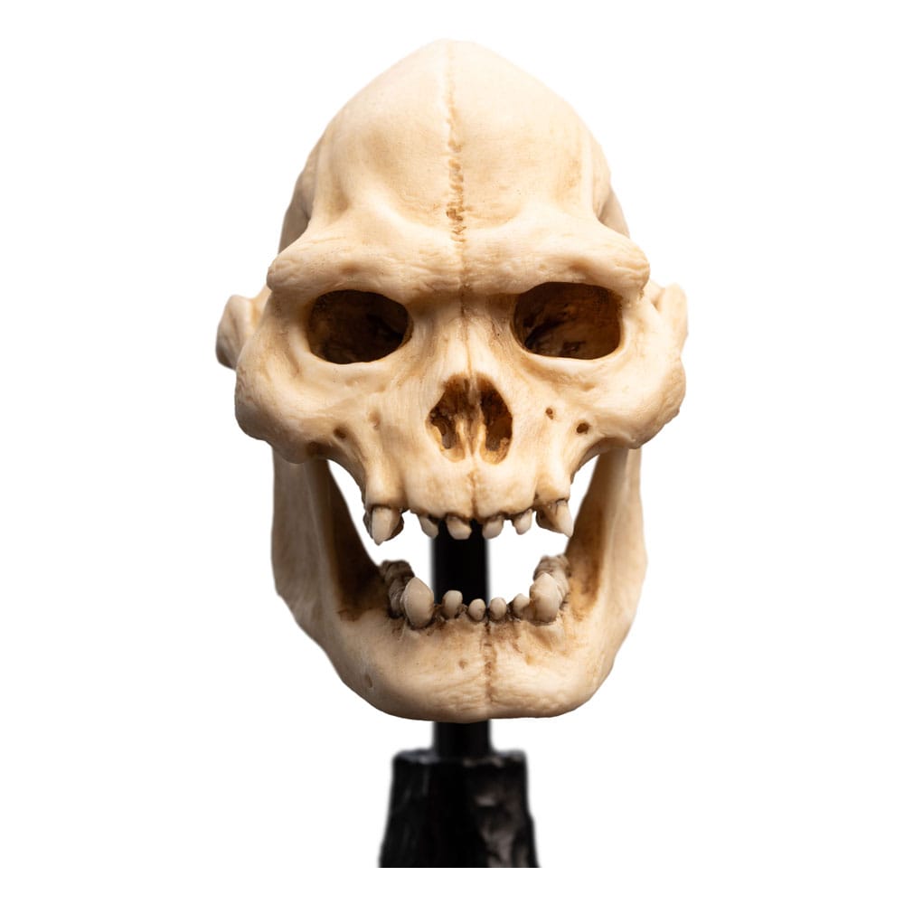 Lord of the Rings Mini Statue Skull of Lurtz 14 cm