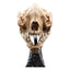 Lord of the Rings Mini Statue Skull of a Warg 20 cm