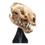 Lord of the Rings Mini Statue Skull of a Warg 20 cm