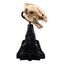 Lord of the Rings Mini Statue Skull of a Warg 20 cm