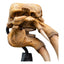 Lord of the Rings Mini Statue Skull of a Mumak 15 cm